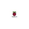 RASPBERRY-PI